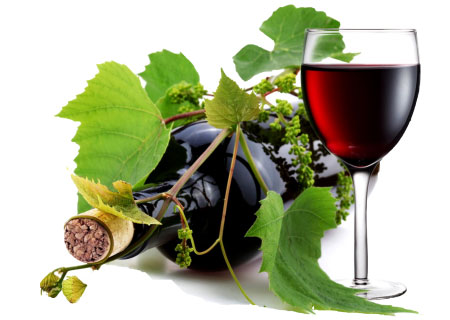 wine-450x320 wine with vine