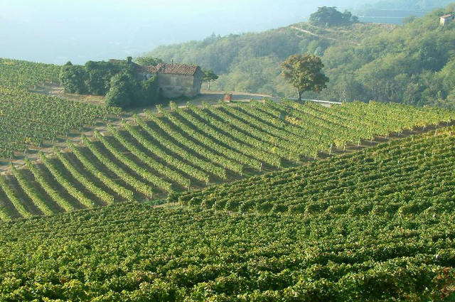 Region Basilicata