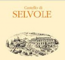 Castello di Selvole Castello di Selvole