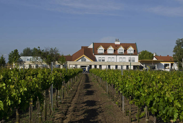 Neusiedlersee