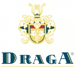 DRAGA LOGO DRAGA LOGO
