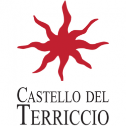 logo2 castello del terriccio logo