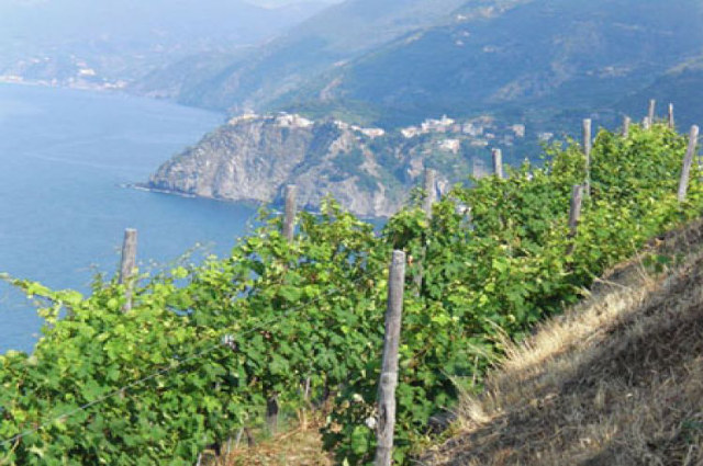 Liguria le cinque terre